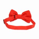 Premium Red Satin BowTie